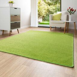 Solid Colour Green Area Rug