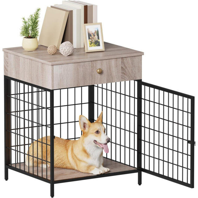 Dog House