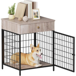 Dog House