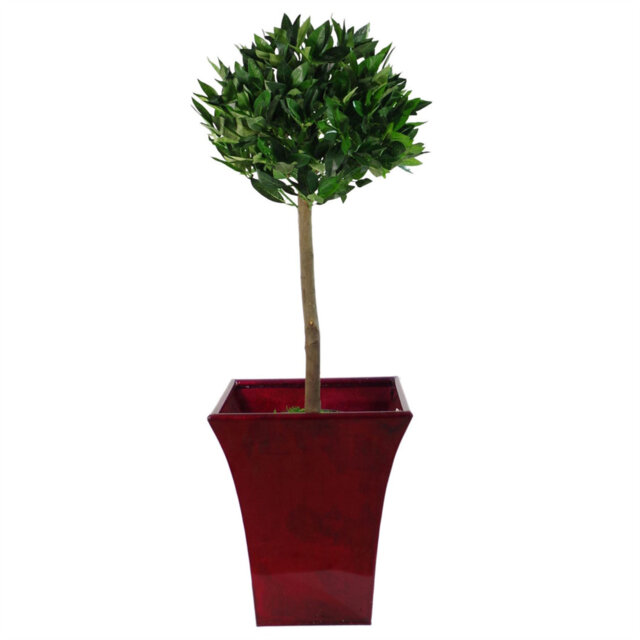 90cm Leaf Design UK Pair of Artificial Bay Topiary Ball Trees