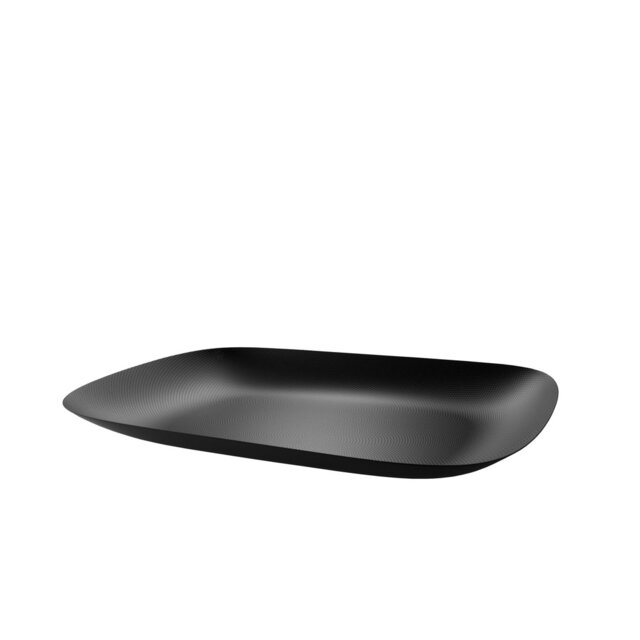 Metal Tray