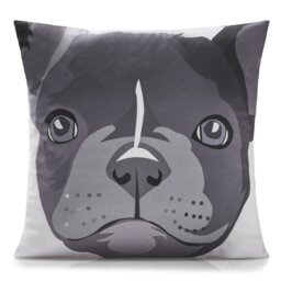 Ditoro Multicoloured Square Cushion