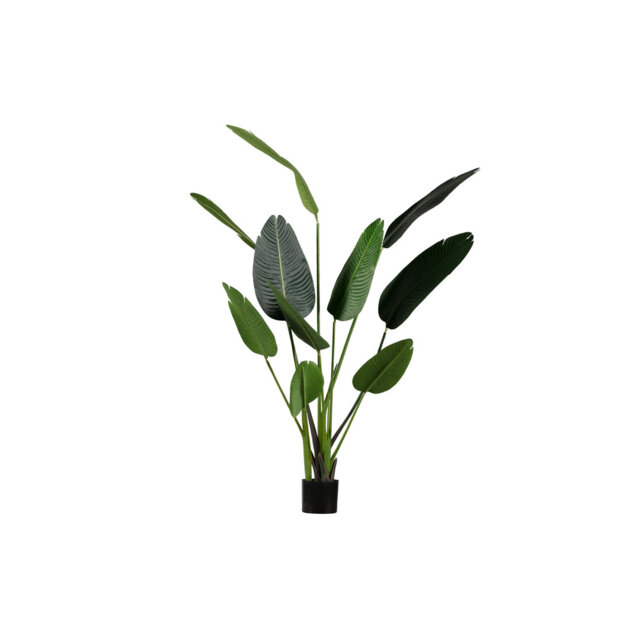 164cm Faux Strelitzia Plant in Planter