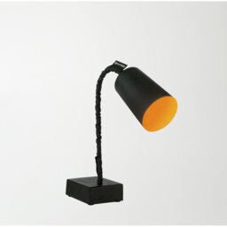 Adjustable Metal Desk Lamp