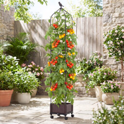 Raised Garden Bed Planter Box Self-Watering Tomato Cage On Wheels With Obelisk Trellis