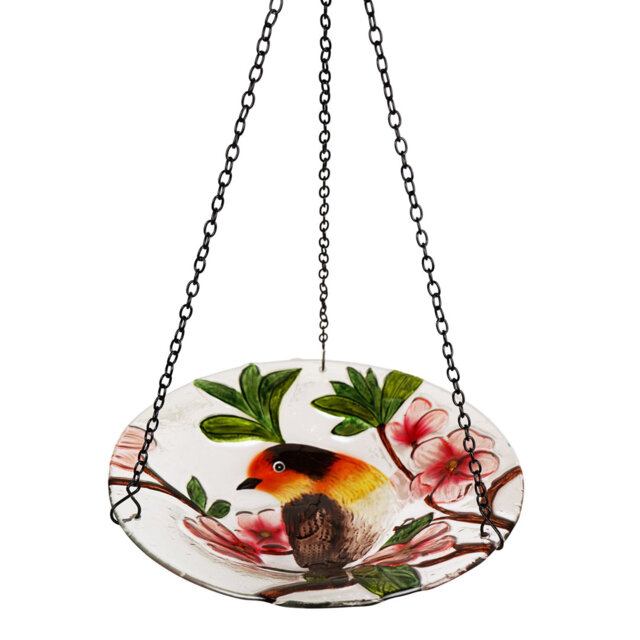 Hanging Bird Feeder Robin