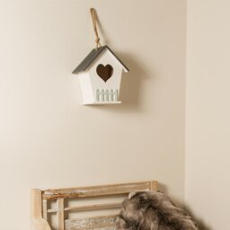 Socorro Decorative Bird House