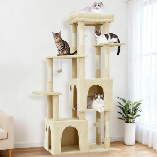 "61"" Multi-Level Cat Tree for Indoor Cats, Heavy-Duty Tower for Large Adult & Mainecoon Cats with Extra-Large Perch, 2 Spacious Condos, Natural Sisal S"
