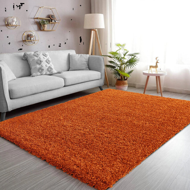 New Stylish Thick Shaggy Rugs For Living Room Hallway Runner Fluffy Round Rugs Bedroom Carpet Mat