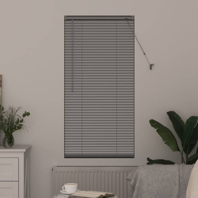 Venetian Blind