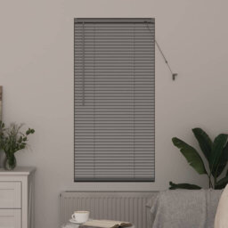 Venetian Blind