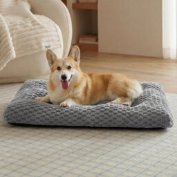 Pet Bed