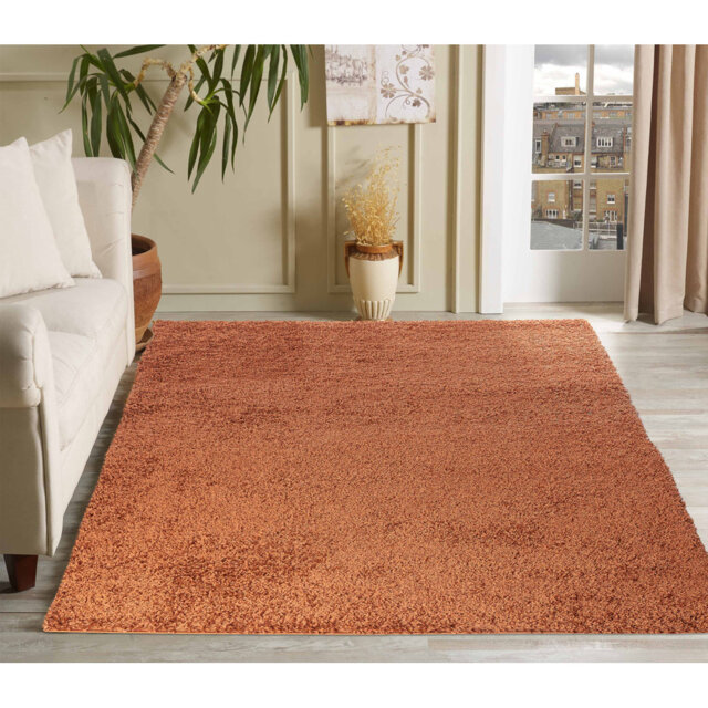 Esterly Shaggy Terracotta Rug