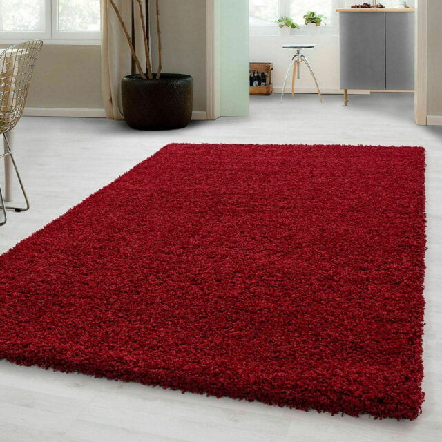 Aanuoluwa Red Indoor / Outdoor Rug