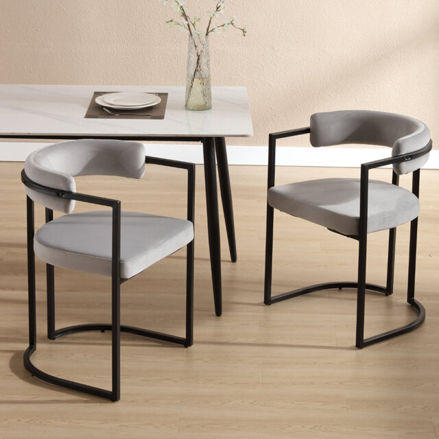 Washon Dining Chairs Set of 2 Upholstered in Velvet Modern Leisure Kitchen Chairs in Metal Frame for Living Room Restaurant Cafe, White