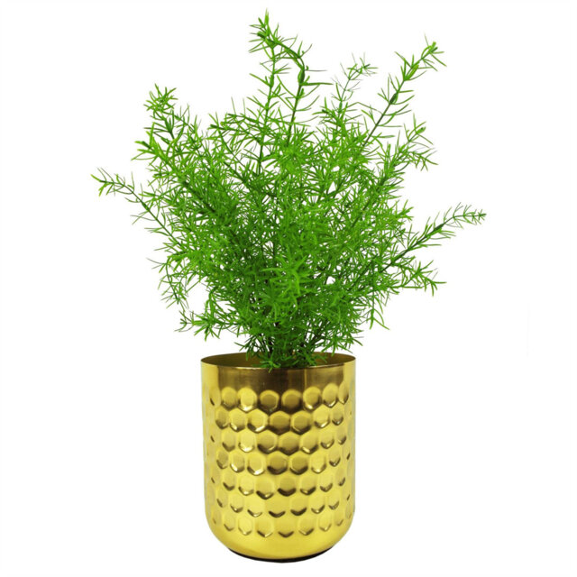 Artificial Fern Plant Realistic 45cm Artificial Asparagus Fern Plant - Pack of 6