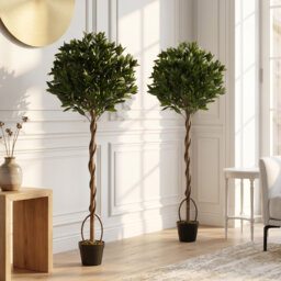 Artificial Plants