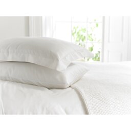 100% Cotton Pillow Case
