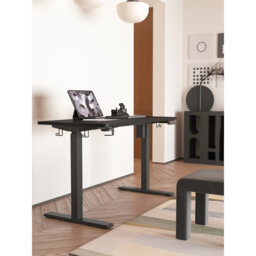 Aario One Piece Electric Height Adjustable Standing Desk with USB Charger