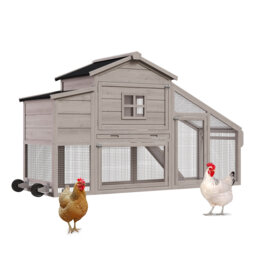 1.17 m² Chicken Coop