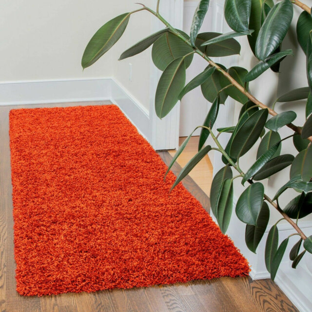 Aanuoluwa Orange Indoor/Outdoor Rug