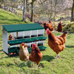 Chicken Nesting Box, Chickens Egg Laying Nest Boxes for Hens, 6/8/10 Compartment Chicken Coop Nesting Box with Removable Tray, Chicken Laying Box for