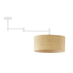 Elutheria Rattan Semi Flush Mount