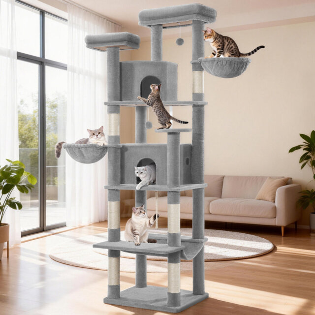 Cat Tree