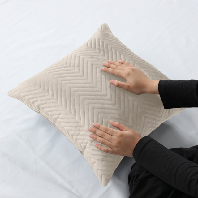 Square Throw Luxury Embossed Pattern Velvet Cushions Protector Set Of 2