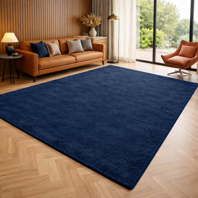 Luxury Pashmina Area Rug – Soft Traditional Living Room & Bedroom Carpet – Elegant Home Floor Rug