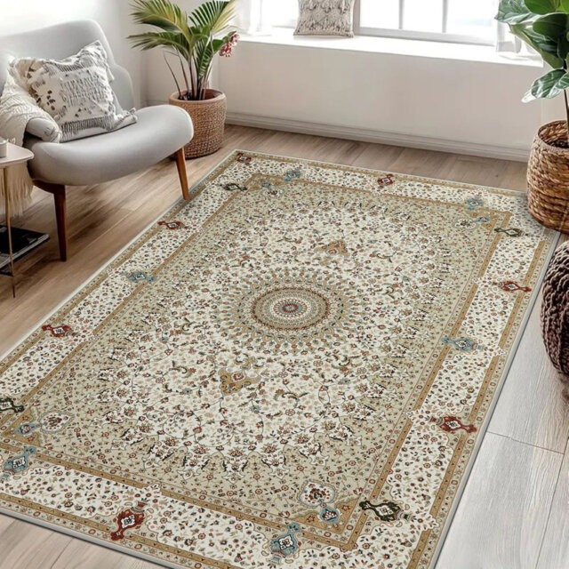 Luxury Plush Area Rug Machine Tufted Shaggy Altra Soft Carpet