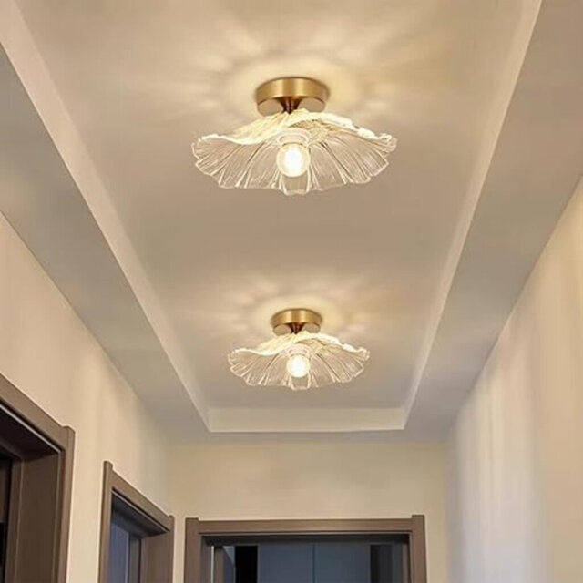 2 Pack Chandelier, Flush Mount Ceiling Light, Clear Glass Shade Light Fixture, 1 Light Lighting Fixture for Bedroom