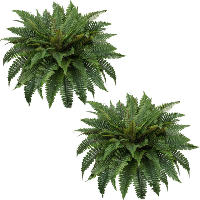 Artificial Boston Fern Plants, Large Fake Plants Outdoor 2 Pack Plastic Evergreen Shrubs for Front Door Garden Indoor Home Decor