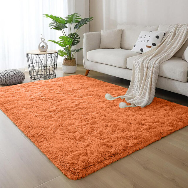Shaggy Rug