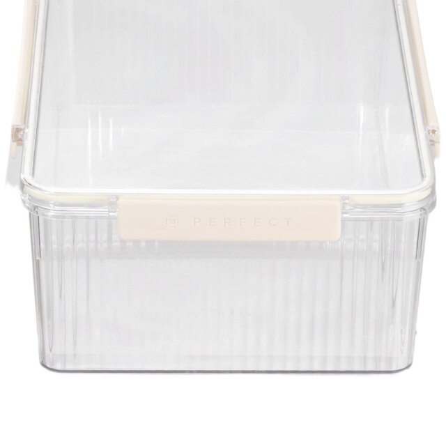 Rebrilliant Plastic Storage Tub & Tote