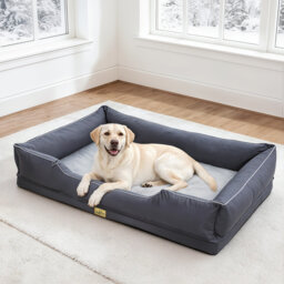 Orthopedic Dog Bed with Bolster
