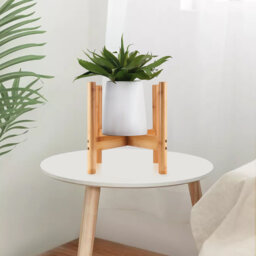 Floyd Solid Wood Plant Stand 1 Tier