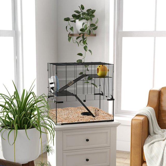Hamster Cage