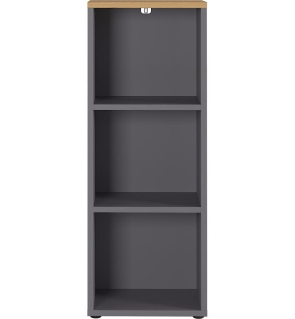 Miabella 120cm H x 45cm W Standard Bookcase
