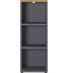 Miabella 120cm H x 45cm W Standard Bookcase