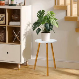 Plant Stand