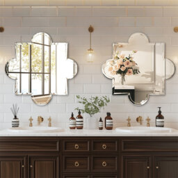 Daliyla Novelty Mirror