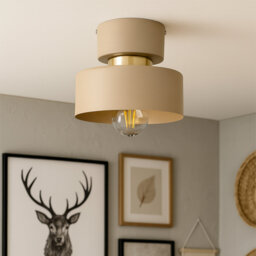 Flush Mount
