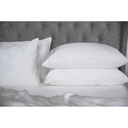 Luxury Silk Range Silk Housewife Pillow Case