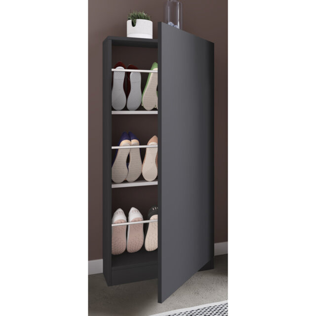 "Latitude Run ""Fulisa"" shoe cabinet with wooden door"