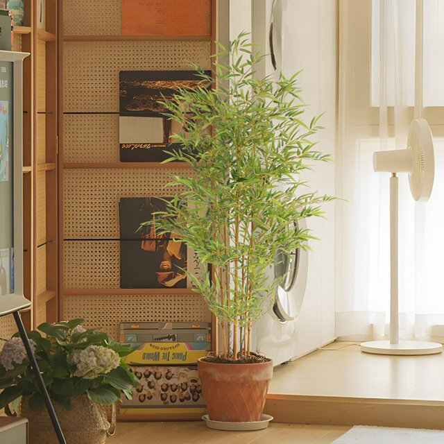Faux Bonsai Plant in Freestanding