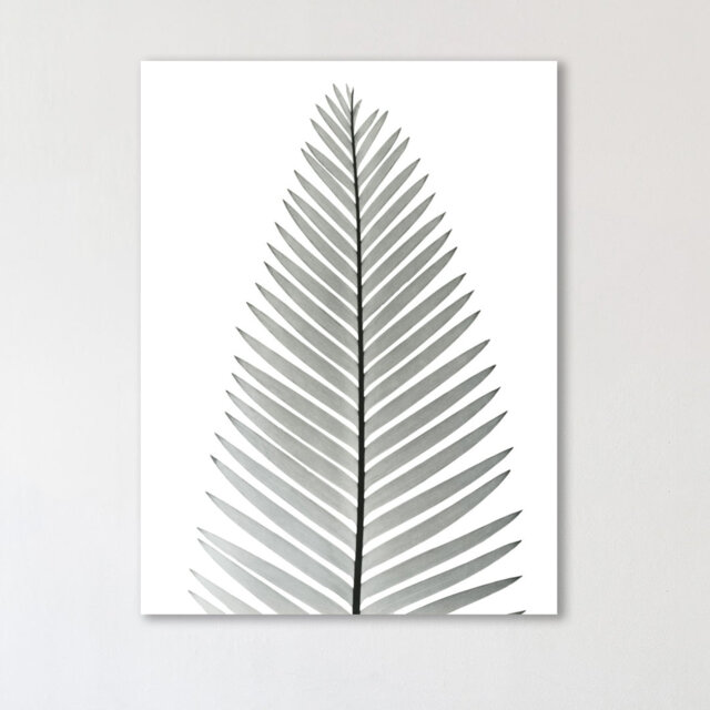 'Tropical Fern II' - Wrapped Canvas Graphic Art Print