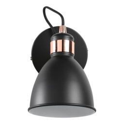 Azalea 1-Light Dimmable Wall Spotlight