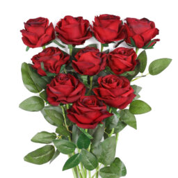 Rose Arrangement