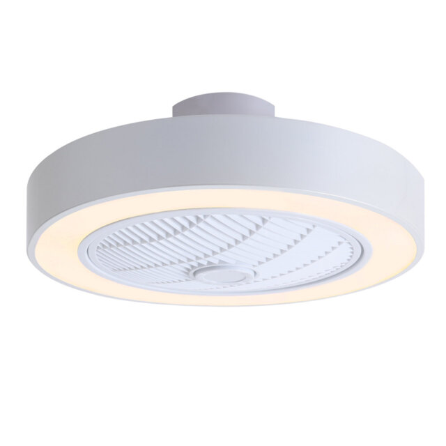 Ceiling Fan with LED Lights